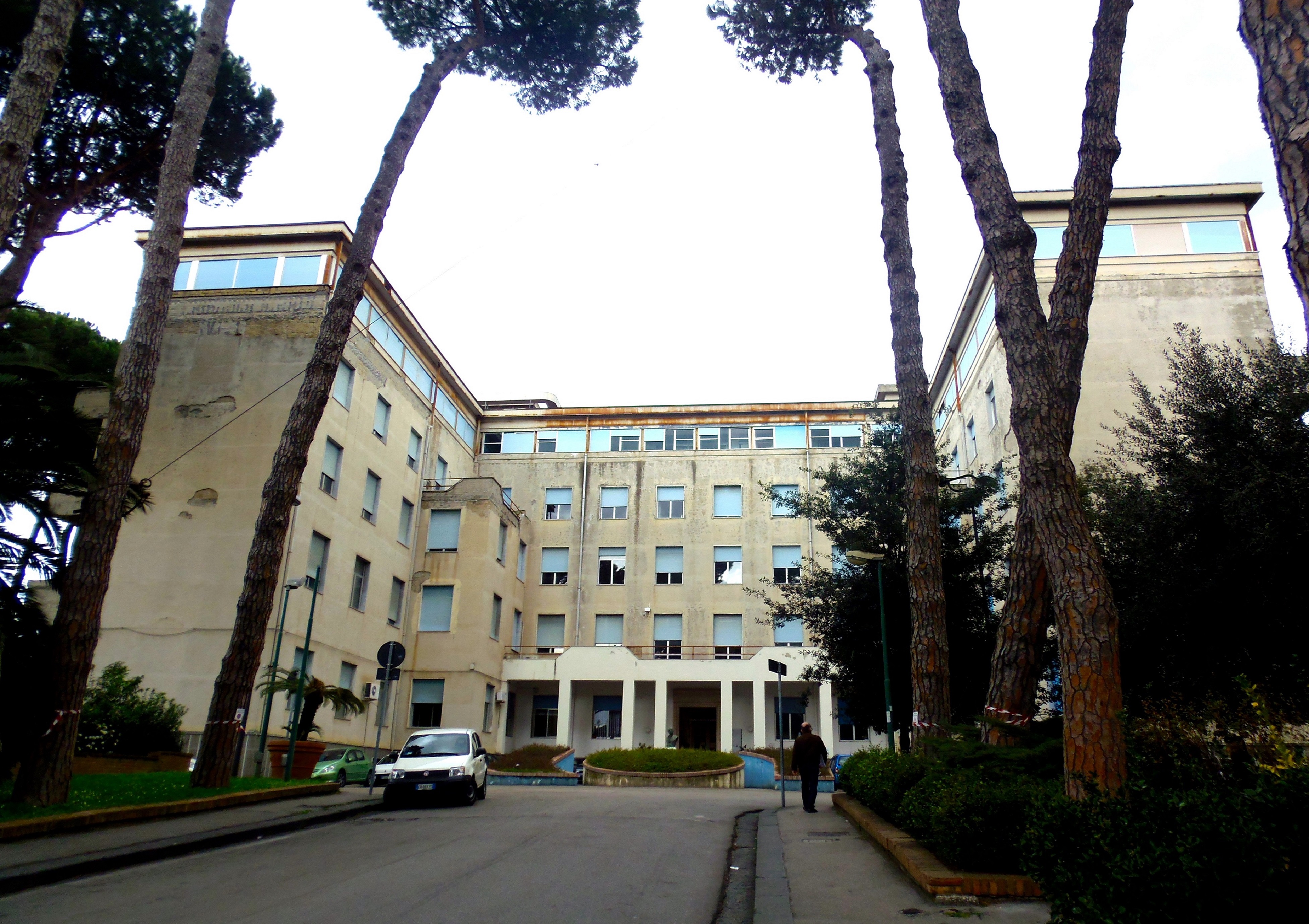 pascale foundation14.jpg
